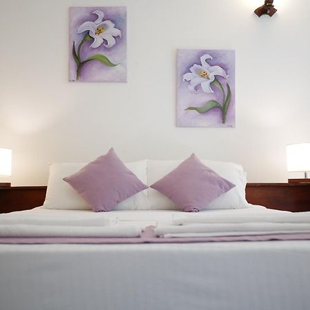 Hotel Elegance Oasis, Colombo 3 Pokój zdjęcie