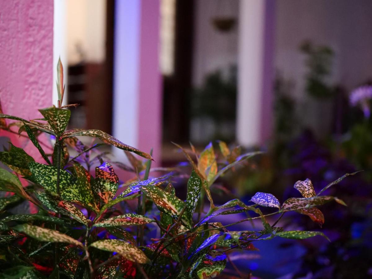 Hotel Elegance Oasis, Colombo 3 Zewnętrze zdjęcie